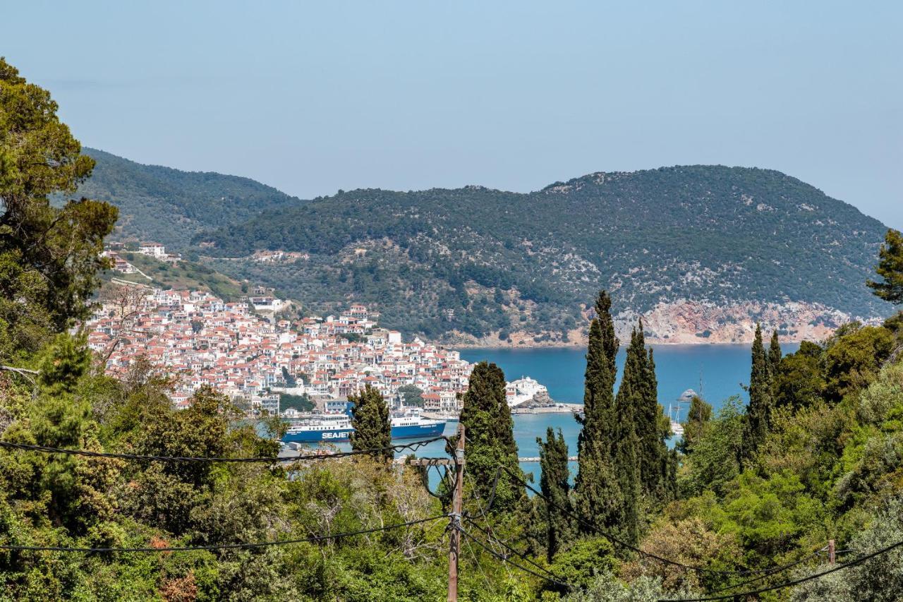 Petrino Skopelos Town